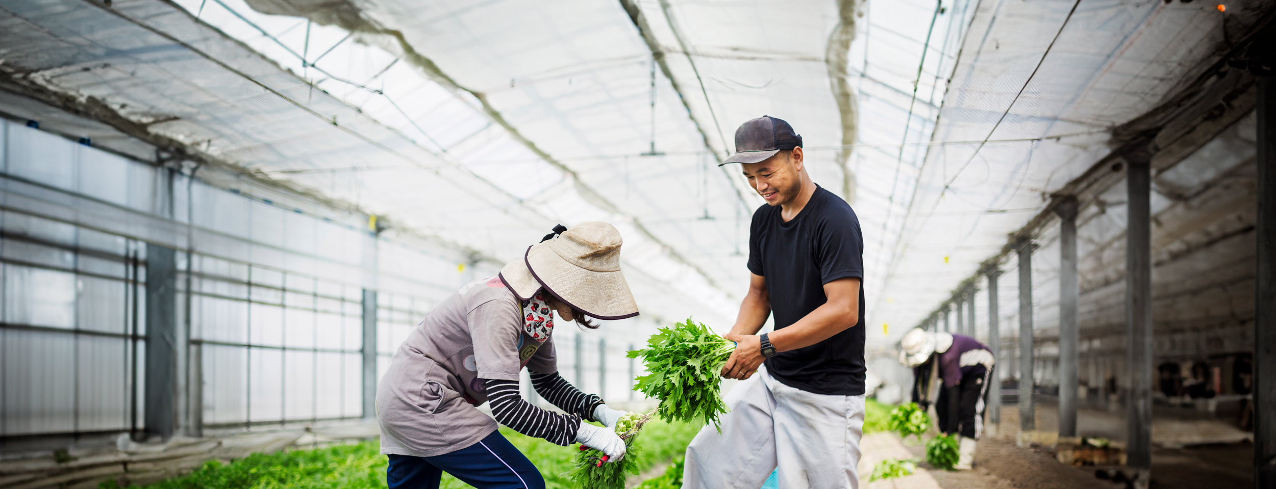 ヴィルモランみかど、世界中のどこでも、あなたの近くで