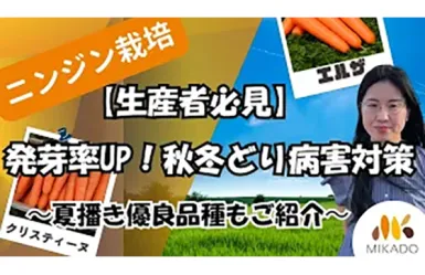 日本農業新聞に広告を掲載しました。 | Vilmorin Mikado Japan