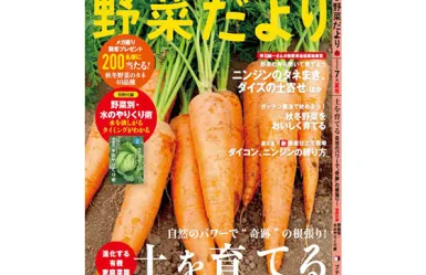 広い播種適期！広い最適作型！ ～だいこん | Vilmorin Mikado Japan