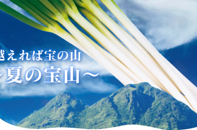 【特集】夏を越せば宝の山 ~夏の宝山