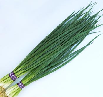 MKS-N501 | Vilmorin Mikado Japan