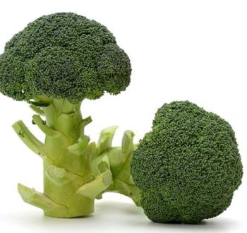 Varieties | Vilmorin Mikado Japan
