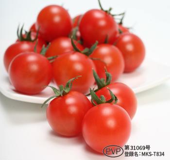 ウルとま®TYみわく