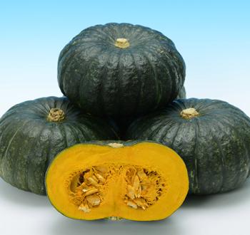 北海道産味早太南瓜 20kg 小玉サイズ 味早太 | Vilmorin Mikado Japan