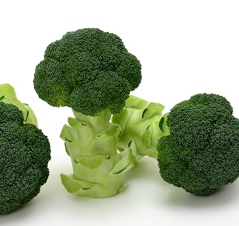 ブランド通販サイト Varieties | Japan Mikado Vilmorin 野菜