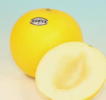 エリザベスⅡ | Vilmorin Mikado Japan