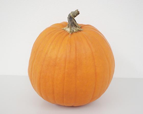 トリート | Vilmorin Mikado Japan